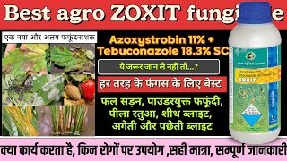 Zoxit fungicide best agro zoxit fungicide Azoxistrobin 11  Tebuconazole 183SC best fungicide [upl. by Aneeroc942]