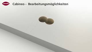 Cabineo CNC Bearbeitungsmöglichkeiten [upl. by Blen]