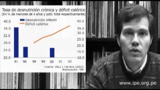 Los programas sociales durante la década de los noventa [upl. by Scevor309]