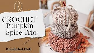 Crochet Pumpkin Spice Trio Pattern [upl. by Amej]