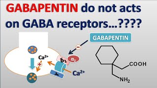 Gabapentin do not acts on GABA receptors is it true [upl. by Nailuj527]