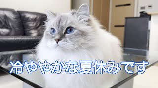 EP390 猛暑の中帰宅したら、お2人の反応はとても冷ややかでした…w [upl. by Allistir604]