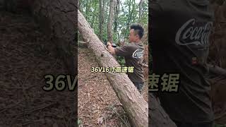 Haoli Lithium Battery Tools 3h agochainsaws hardware tools viralvideo foryou [upl. by Chavey]