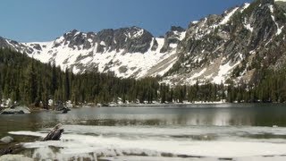 Brave Wilderness EXPOSED Coyote Peterson fakes a turtle catch [upl. by Fotzsyzrk]