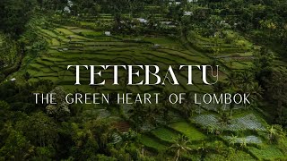 Tetebatu The Green Heart of Lombok Indonesia DRONE [upl. by Gardner]