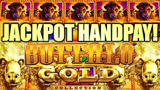 ★JACKPOT HANDPAY★ 15 GOLD HEADS AGAIN 🦬 BUFFALO GOLD Slot Machine ARISTOCRAT GAMING [upl. by Ennovoj448]