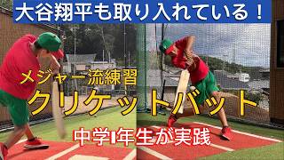 【大谷翔平選手も実践！】クリケットバットを使った革新的バッティング練習法‼ [upl. by Easton]