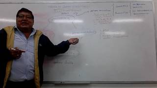 Teorías Didáctica de la Matemática  Dr Chirinos [upl. by Liggitt]