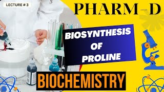 Biosynthesis Of Proline Biochemistry [upl. by Aloek45]