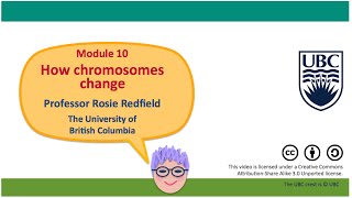 10M  Retrotransposons pseudogenes and junk DNA [upl. by Oralia806]