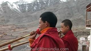 Buddhist monks playing dungchen at Dhankar Gompa [upl. by Jase]