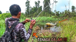 HUTAN RAWA PENGHUNINYA GAK ADA YG RAMAH 😨 [upl. by Jephum]