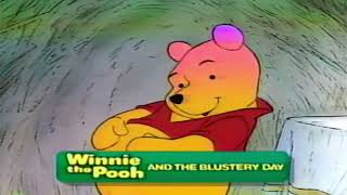 Closing To Winnie The Pooh And The Blustery Day 1993 VHS [upl. by Kress]