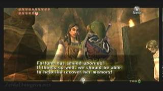 Legend of Zelda Twilight Princess Walkthrough 18 17 quotIn Search of The Sky Memoryquot [upl. by Nonnac]