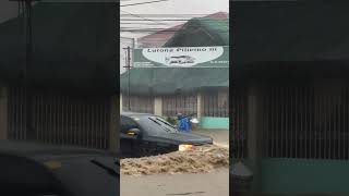 Man Struggles Against Floodwaters During Typhoon Kristine [upl. by Booma926]