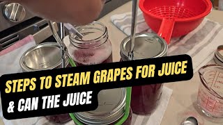 StepbyStep Guide to Steam Canning Grape Juice at Home [upl. by Jacobine]