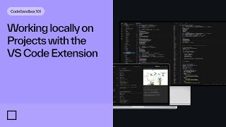 Working locally on Projects with the VS Code Extension [upl. by Sredna347]