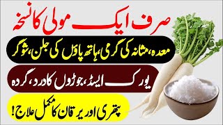 Radish Benefits Moli K Fayde For Uric Acid Kidney Weight Loss And Diabetes Treatment Urdu Hindi [upl. by Euqinaj]