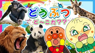 【子供向け どうぶつアニメ】アンパンマンと学ぼう☆14種類の森の動物たちが大集合☆ゾウ、キリン、トラ、キツネなどの動物の名前を学びましょう【子供向け動物アニメ】 [upl. by Cummings495]