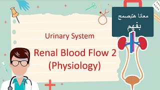 Renal blood Flow PART 2  Physiology هتفهم كل كلمة [upl. by Belicia602]