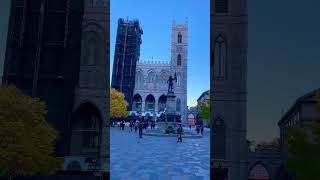 Montréal Basilique Notre Dame travel city canada nature beautiful oldmontreal [upl. by Dorej901]