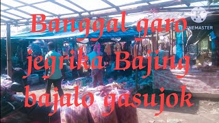 Banggal garo jegrika Bajing Bajalo gasujok [upl. by Rednaxela]