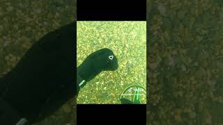 shorts subscribe short short fishing underwatergame beachfootwear funny underwatersport [upl. by Alek164]