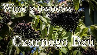 Wino z owoców Czarnego Bzu Przepis na zdrowy trunek [upl. by Niahs]