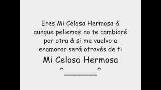 Mi Celosa Hermosa Letra  Felipe Pelaez [upl. by Bollay]