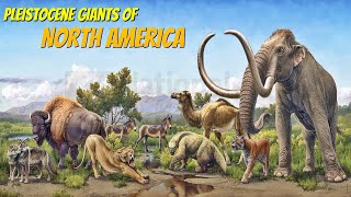 Extinct Pleistocene Megafauna of North America [upl. by Ajit508]