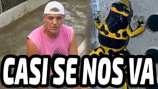 Frank Cuesta ESTUVO EN GRAVE PELIGRO CASI SE NOS VA [upl. by Ledua266]