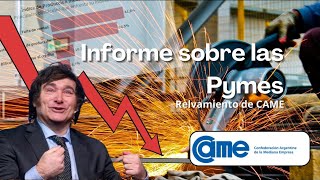 Caída de ventas Inflación recesión ¿Qué es lo que mas afecto a las Pymes Argentinas Informe CAME [upl. by Acim]