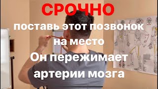 Никогда не делай этой ошибки Срочно поставь все свои позвонки на место прямо сейчас [upl. by Reginnej]