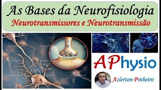 As Bases da Neurofisiologia – Neurônios Neurotransmissores e Neurotransmissão [upl. by Hamirak]