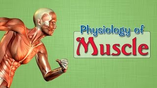 Easy Physiology  Muscle  2Isometric amp Isotonic contractions [upl. by Nrubyar]