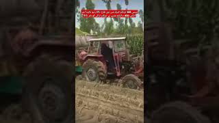 Massey 285 Tractor Badly Fail In Mud New Holland FX 450 Silage Machine pulled Out Tractor Trolley [upl. by Kalam]