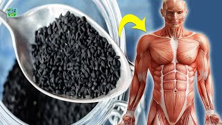 What Happens If You Take A Teaspoon Of Black Seeds Everyday With Subtitles [upl. by Serg964]