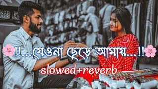 🙂❤️🕊️Amar Porane Tomar PoranLofi One Sided Love lofi Song💞🌹🦋 banglasong slowedreverb [upl. by Pooley]