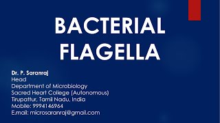 Bacterial Flagella bacteria flagella flagellarrangement motilitytypes asrbnet arsnet neet [upl. by Wooldridge]