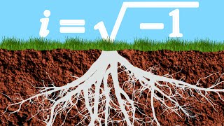 The Origins of Imaginary Numbers [upl. by Astiram]