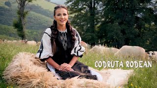 Codruta Rodean  Strigă badea din celar  Videoclip Oficial [upl. by Hoagland]