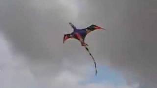 Giant 3D Blackwing Pterodactyl kite 2 [upl. by Wash448]