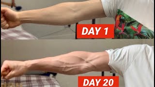 Vascular Forearms in Only 20 Days [upl. by Rraval433]