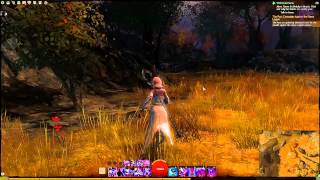 Guild Wars 2 Fireheart Rise Vista  Sweltering Canyons [upl. by Doi]