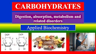 CARBOHYDRATES  Digestion absorption metabolism related disorder Applied Biochemistry Nursing [upl. by Aden535]