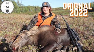 Chasse à lorignal 2022  Moose Hunting 2022  TruNorth Hunters [upl. by Switzer111]