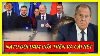 NT Lavrov Từ Chối Yêu Cầu quotTế Nhịquot Của TT Đức Và Zelensky  Kiến Thức Chuyên Sâu [upl. by Nilsoj]