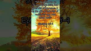 Ephesians 289 [upl. by Sunil]