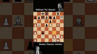 Fischer vs Tal Chess Miniature [upl. by Naffets]