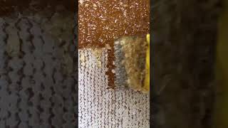 Satisfying Honey Harvesting A Sweet Sound and Sight [upl. by Dhu]